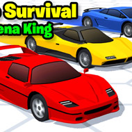 Survival Race img